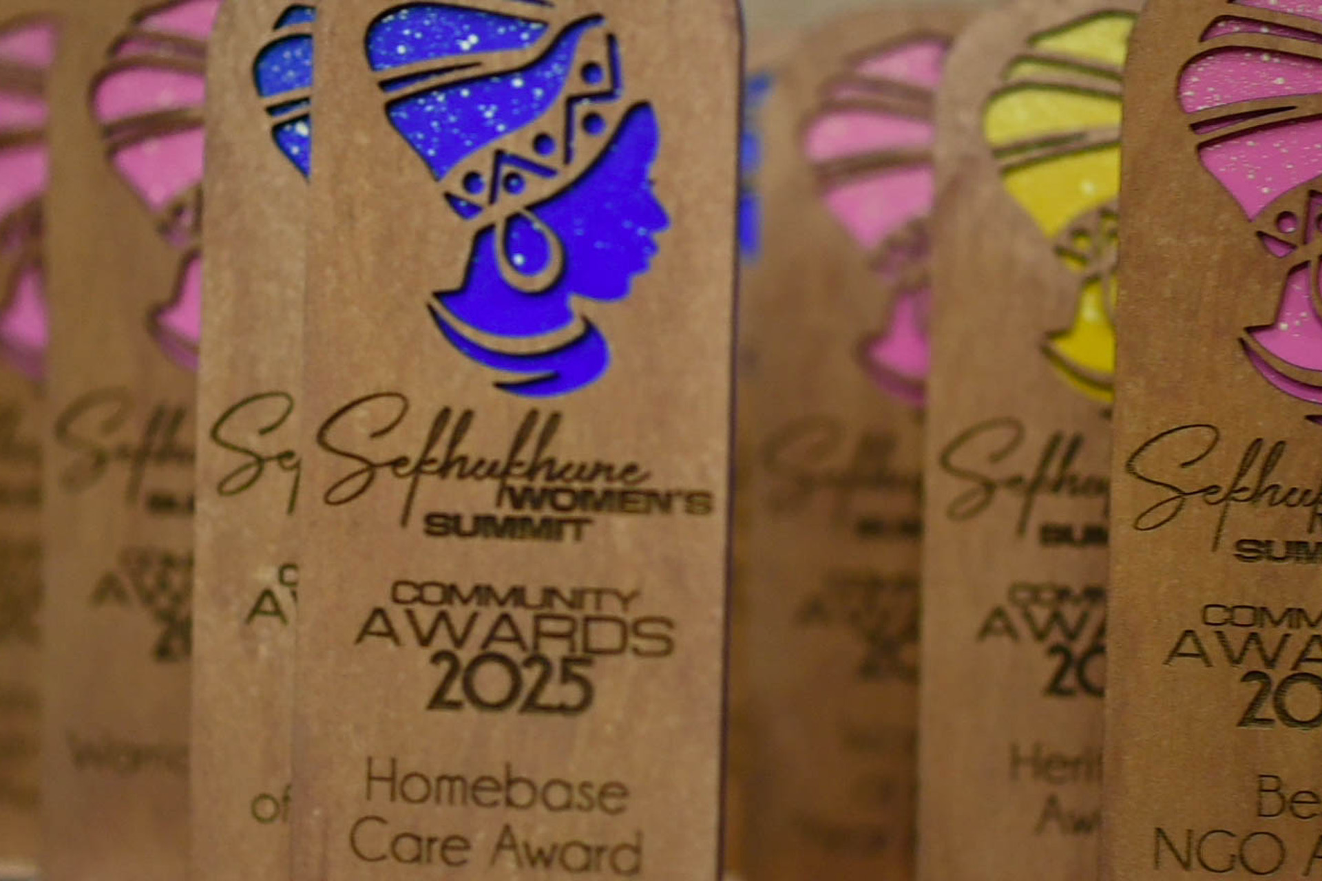 Community Awards 2025 trophies close-up
